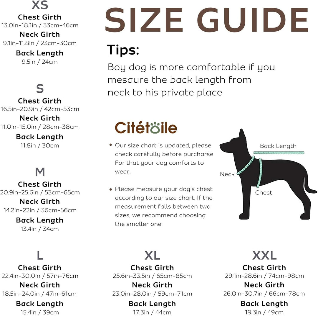 CITÉTOILE Schwimmweste Hunde Hai, Leicht und Sicher für Wassersport, hundeschwimmweste mit Griff und