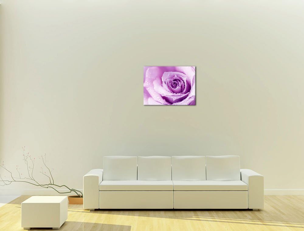 Bilderdepot24 Bild auf Leinwand | Lila Rose mit Tropfen II in 60x50 cm als Wandbild | Wand-deko Deko