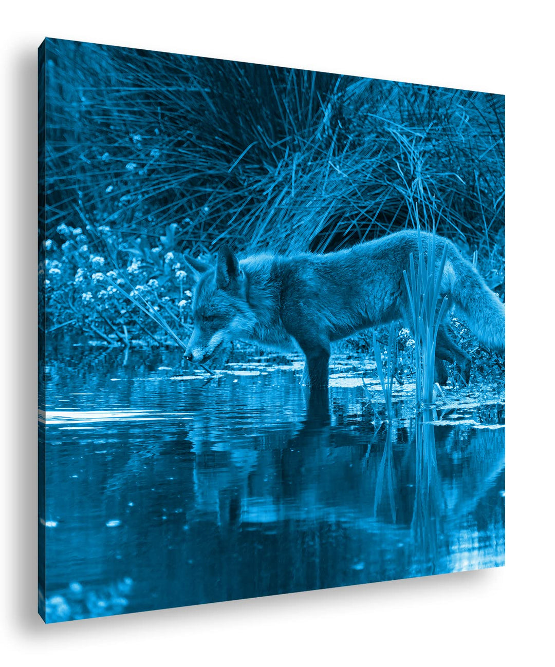 deyoli Anmutiger Fuchs am Wasser Format: 70x70 Effekt: Monocrome Blau als Leinwandbild, Motiv fertig
