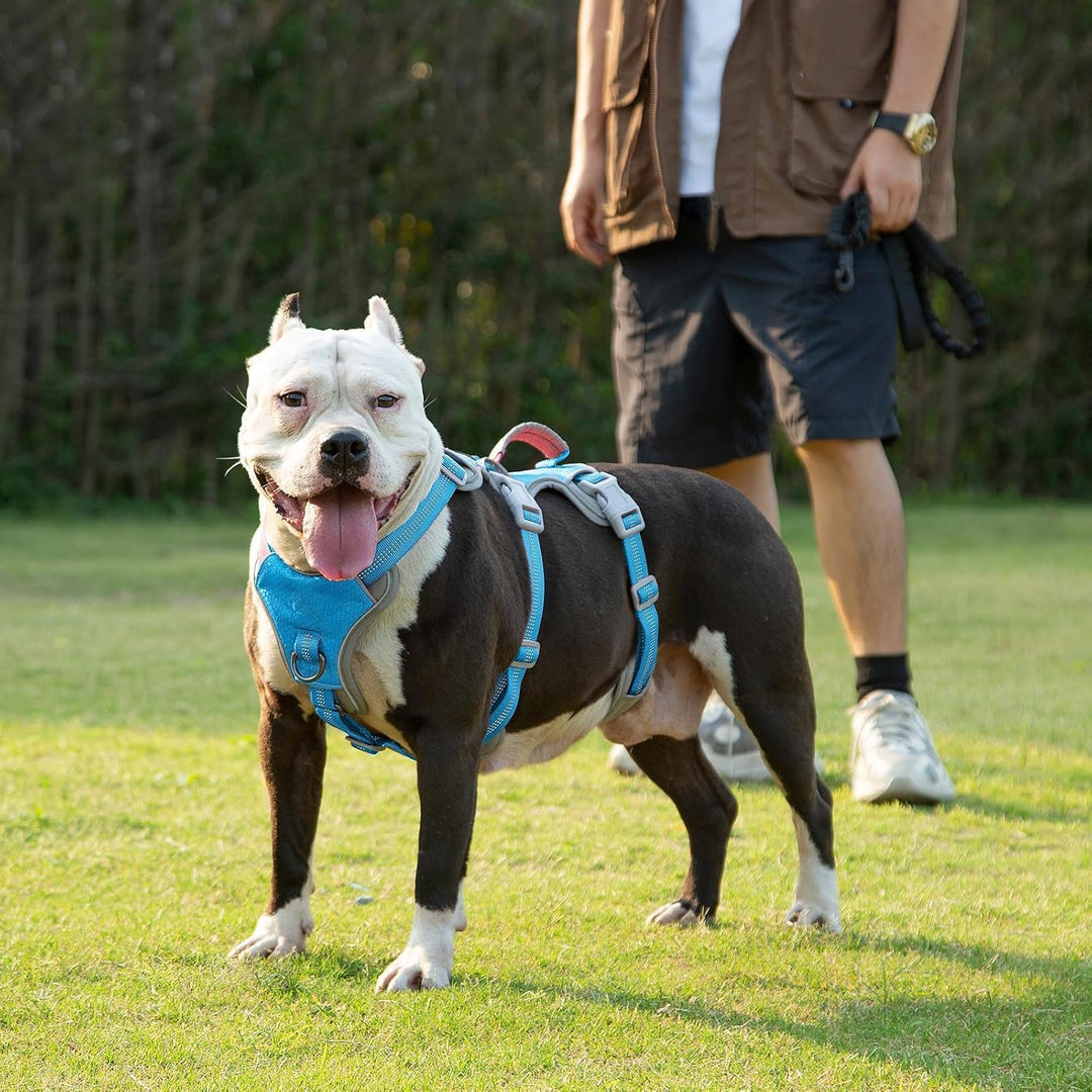 Huntboo Sicherheitsgeschirr Hund Ausbruchsicher, hundegeschirr kleine Hunde, Reflektierendes Geschir