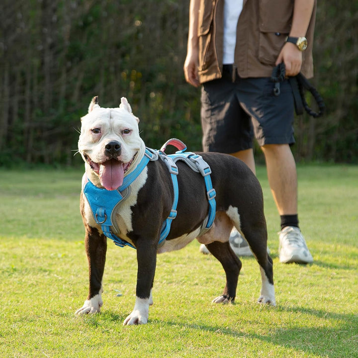 Huntboo Sicherheitsgeschirr Hund Ausbruchsicher, hundegeschirr kleine Hunde, Reflektierendes Geschir