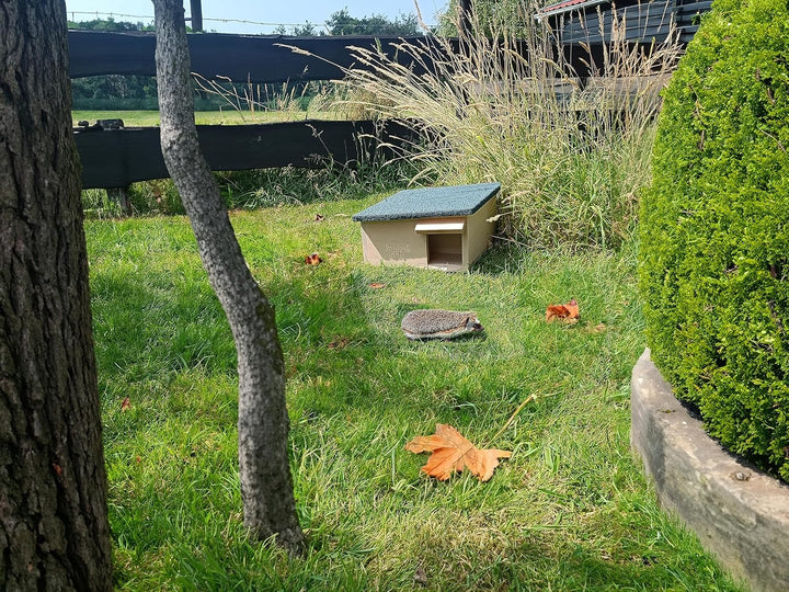 Dokkodo Igelhaus wetterfest aus Holz – Igelhotel & Winterquartier mit Labyrinth-Eingang – Sicherer U