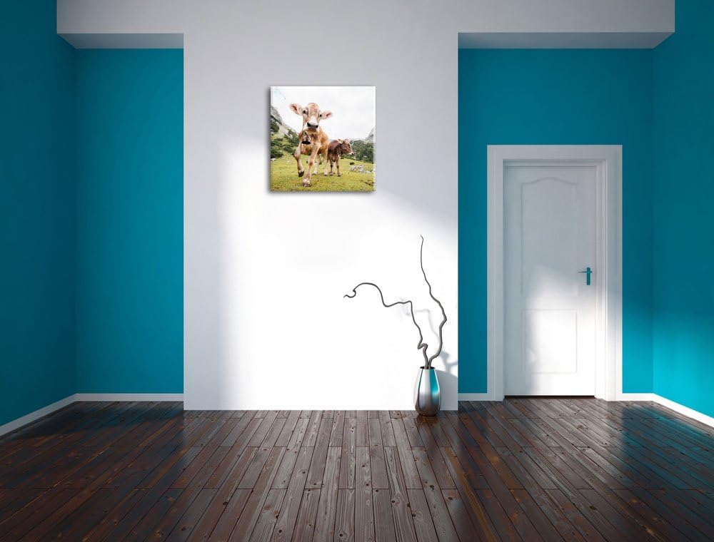 Almkuh auf der Weide, Format: 70x70 auf Leinwand, XXL riesige Bilder fertig gerahmt mit Keilrahmen,