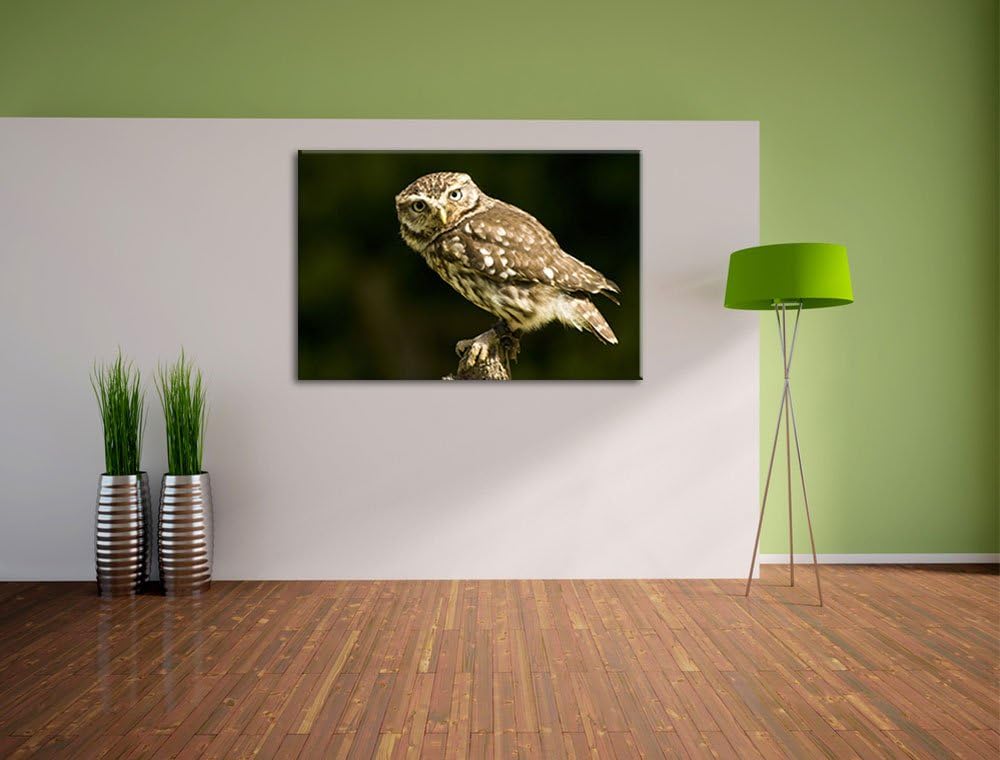 Pixxprint kleine Eule, Format: 100x70 auf Leinwand, XXL riesige Bilder fertig gerahmt mit Keilrahmen