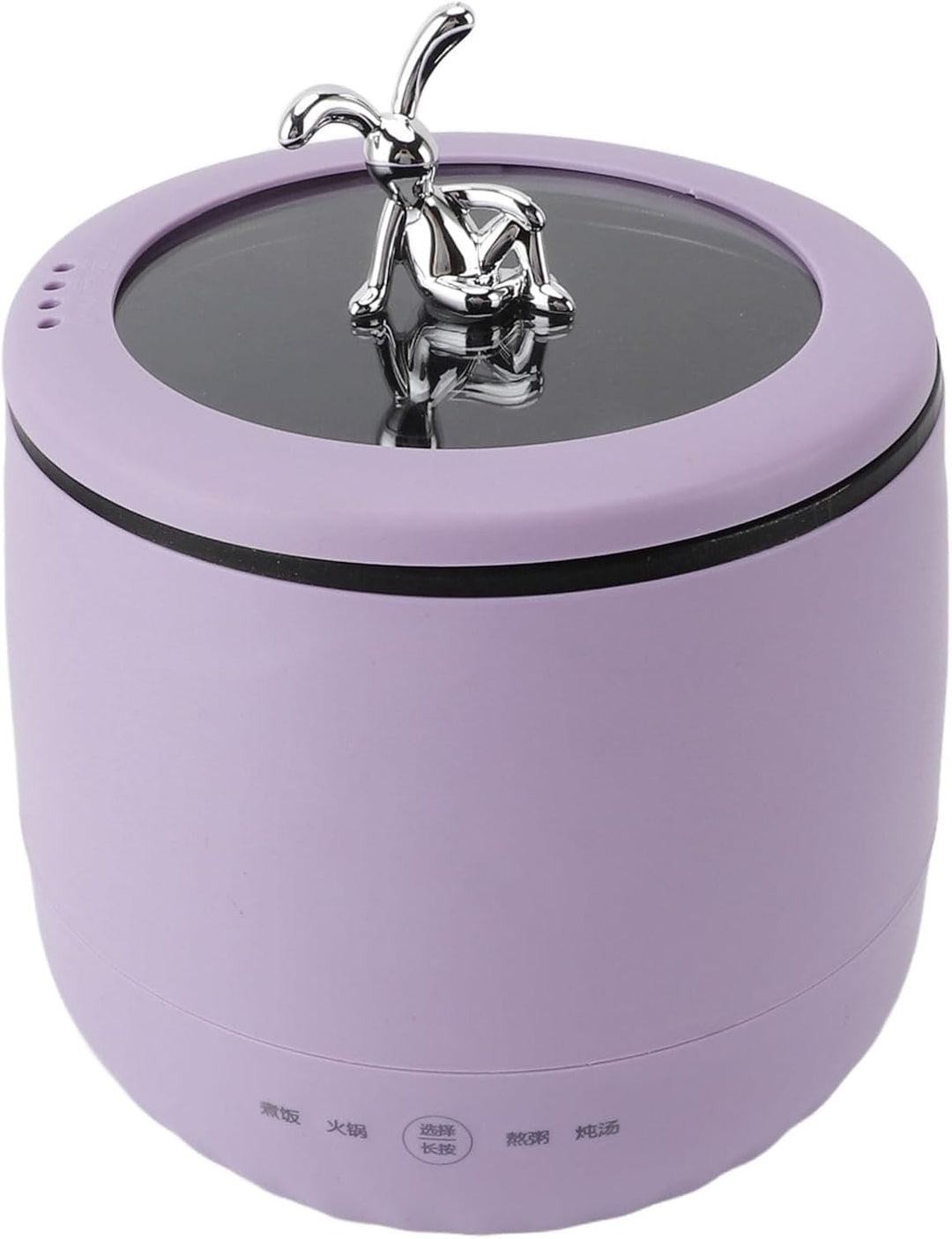 Mini-Reiskocher Multifunktional für 2 Personen, 1,8 L, 450 W, tragbar, EU-Stecker 220 V (PURPLE), PU