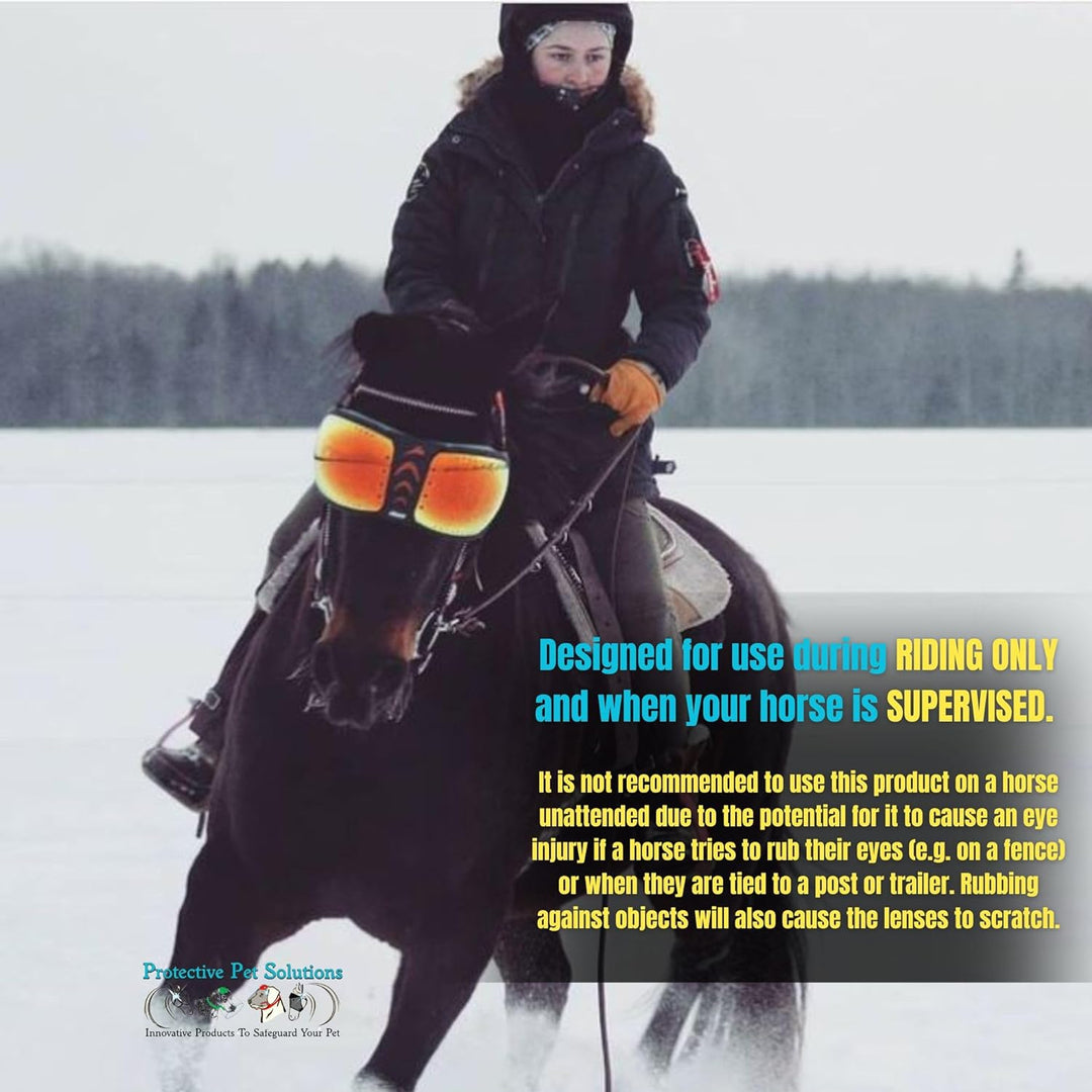 EQUICK Brille Pferd eVysor