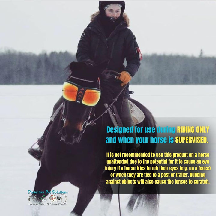 EQUICK Brille Pferd eVysor