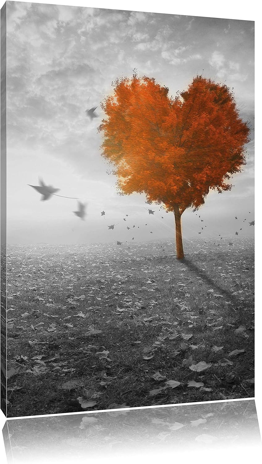 Pixxprint Roter Herzbaum im Herbst schwarz/weiss als Leinwandbild/Grösse: 100x70 cm/Wandbild/Kunstdr