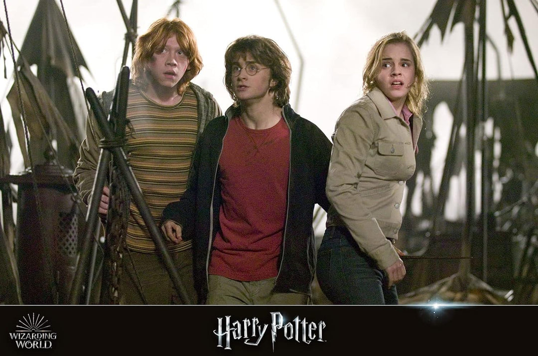 Wizarding World 10-Film Collection [Blu-ray], Blu-ray