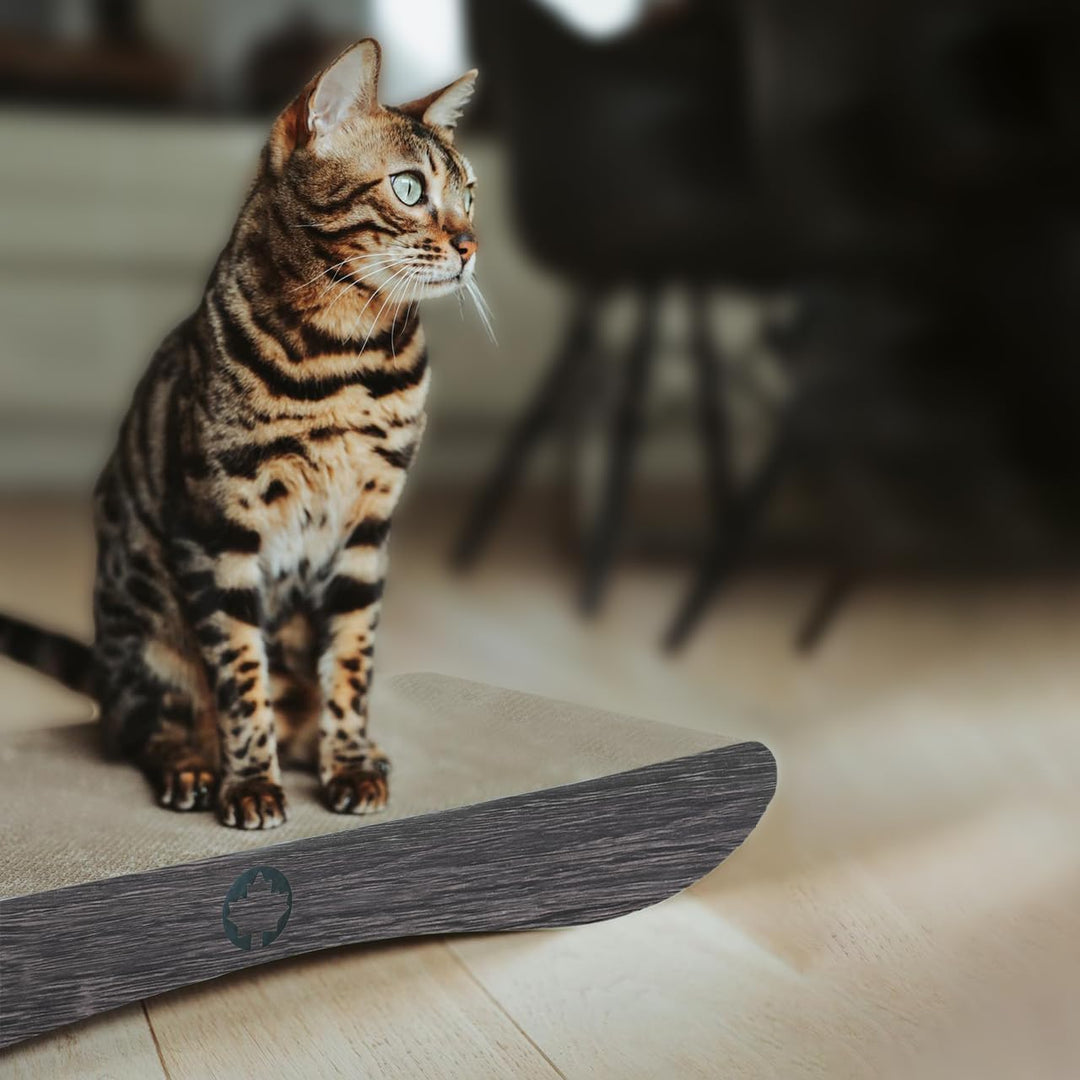 CanadianCat Company | Kratzkarton Comet L | 60 x 29 x 7 cm | Kratzmöbel, Kratzbrett | XL Qualitäts-P