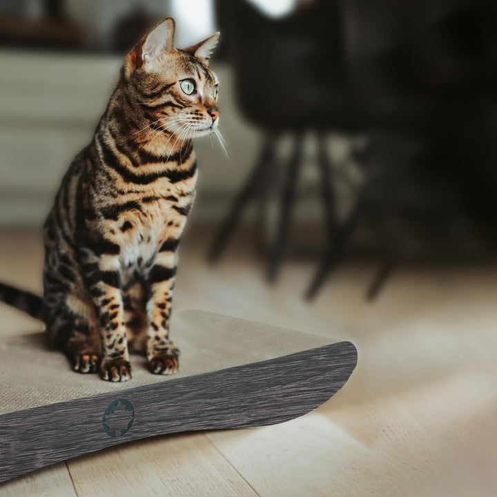 CanadianCat Company | Kratzkarton Comet L | 60 x 29 x 7 cm | Kratzmöbel, Kratzbrett | XL Qualitäts-P