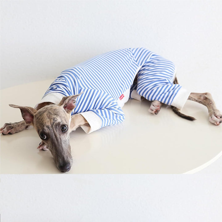 Leichter Baumwoll-Windhund-Pullover, Whippet-Kleidung mit Beinen, Rollkragen-Hunde-Jumpsuit, Hunde-P