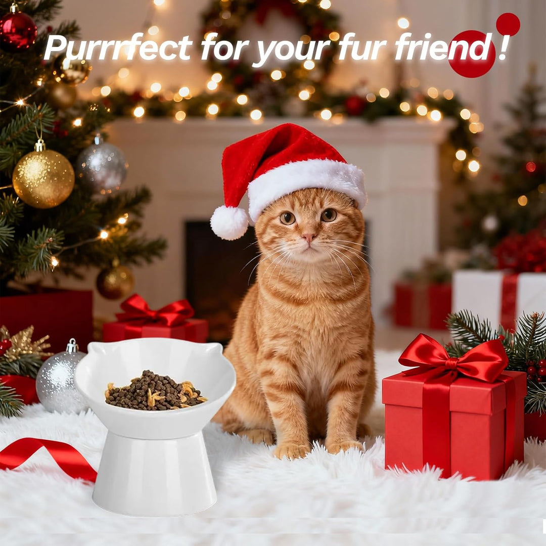 vootun Futternapf Katze,Katzennapf Erhöht Fressnapf Katze mit 15° Neigung Design,Anti-Erbrechen Katz