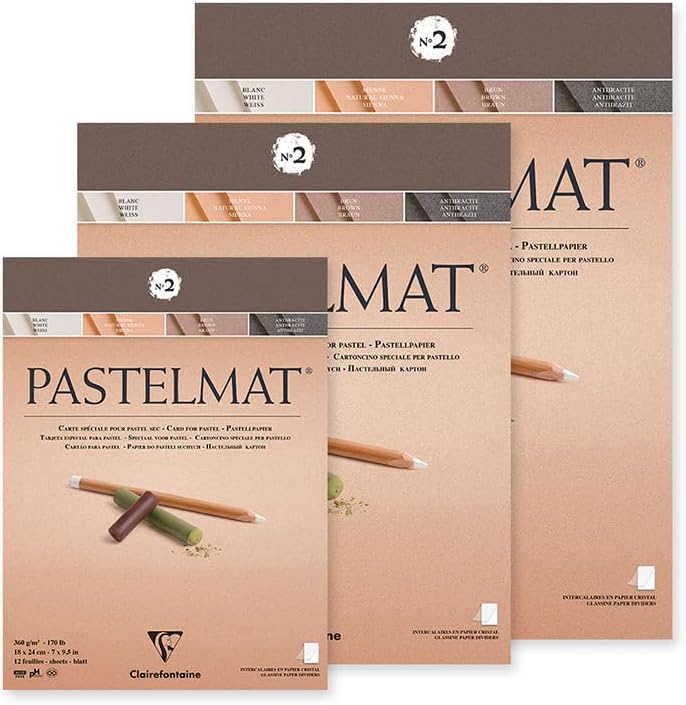 Clairefontaine 96007C Zeichenblock Pastelmat (12 Blatt, 24 x 30 cm, 360 g, mit 4 transparenten Trenn