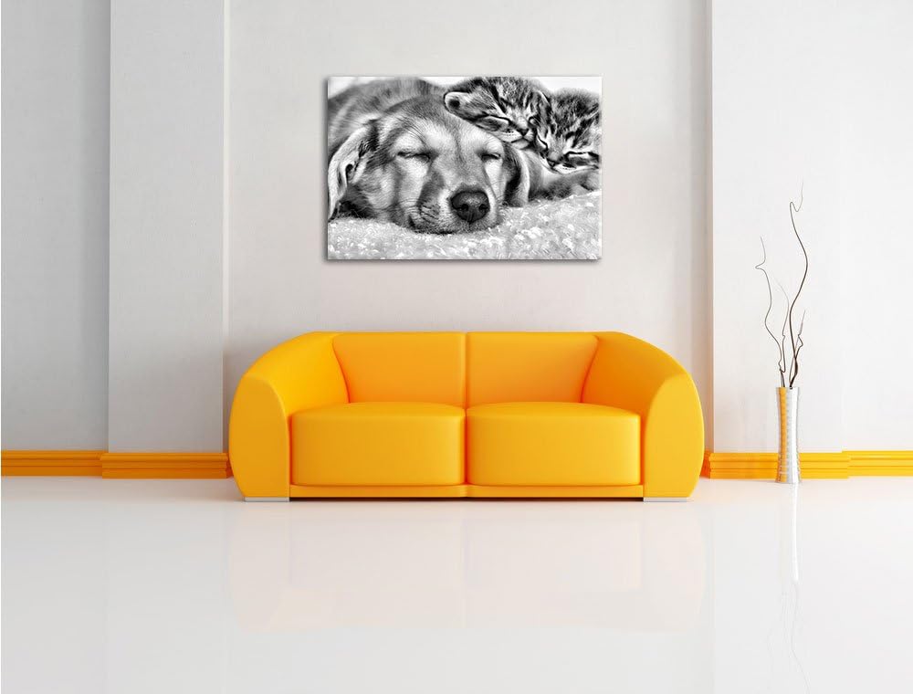 Pixxprint Monocrome, Kätzchen und Hund schmusend, Format: 100x70 auf Leinwand, riesige Bilder fertig