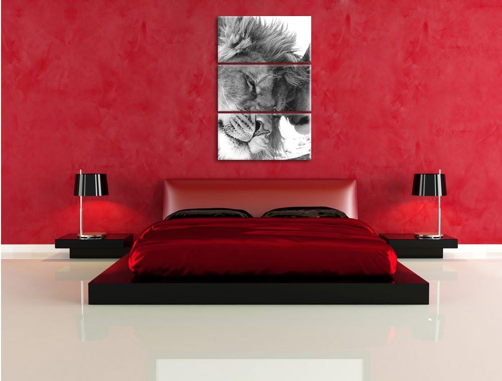 Pixxprint Bezauberndes kuschelndes Löwenpaar als Leinwandbild/Grösse: 3 Teilig (120x80) cm/Wandbild/