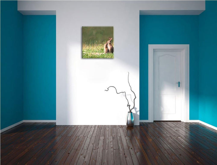 Pixxprint Hasen auf Wiese als Leinwandbild/Grösse: 70x70 cm/Wandbild/Kunstdruck/fertig bespannt, 70x