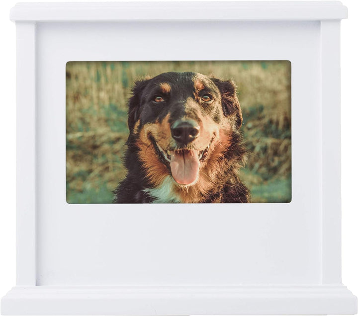 Pearhead 89050 Erinnerungsbox für Hunde oder Katzen, personalisierbar, Weiss Weisse Foto-Urne, Weiss