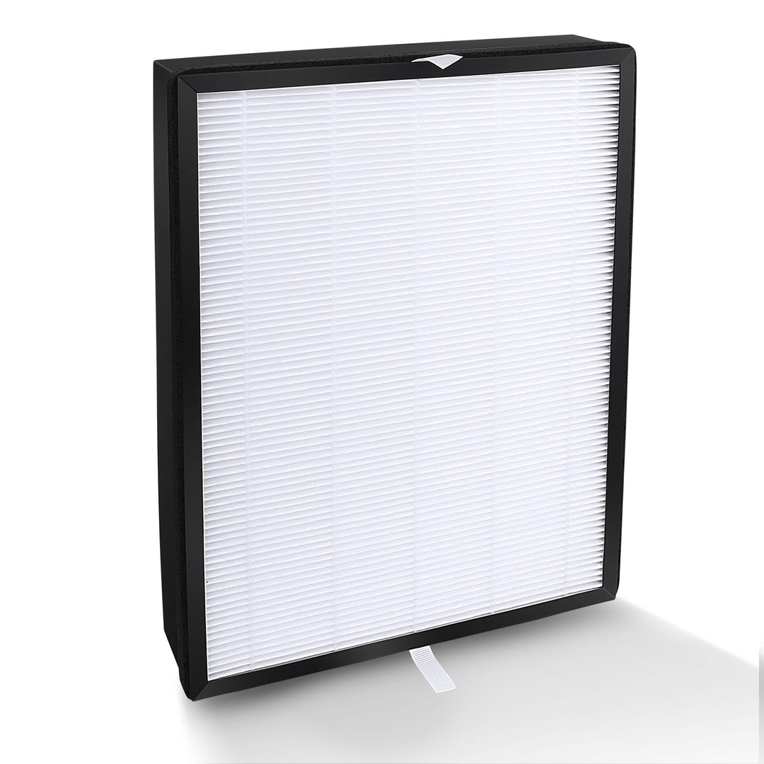 FY2422/30 Ersatzfilter Kompatibel mit Philips AC2882 AC2887 AC2889 AC3829 2000er und 3000er Serie Lu