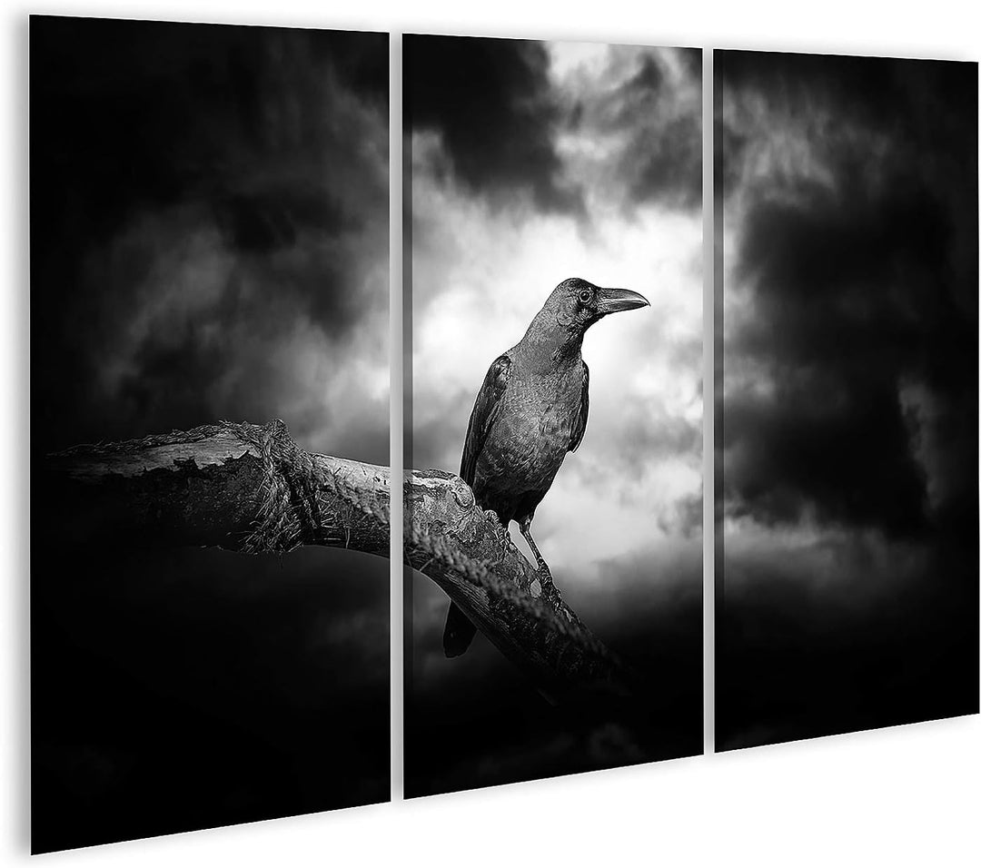 islandburner Bild auf Leinwand Rabe Auf Einem Zweig Bilder Wandbilder Poster Leinwand 130x80cm - 3 T