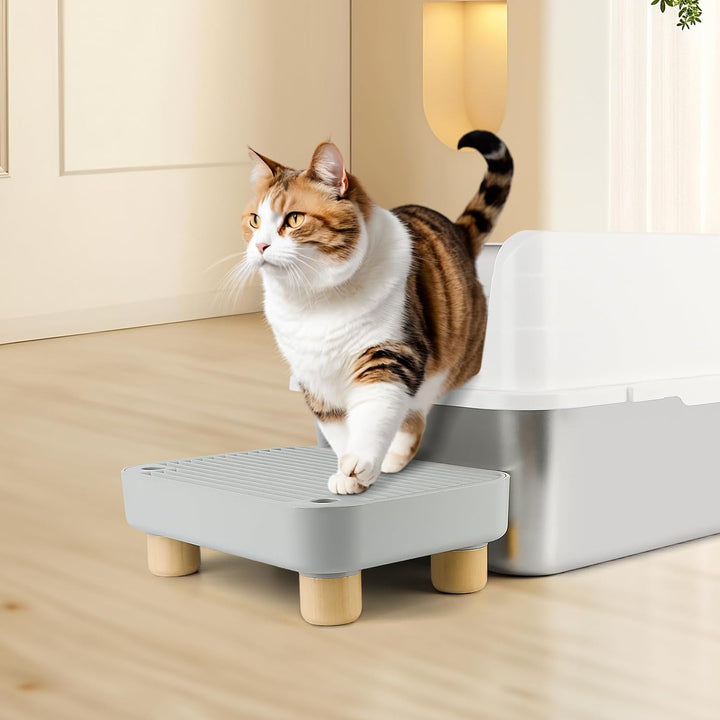 Katzenstreu Rampe, Katzentreppe/Katzentoilettenrampe/Katzenfänger Litter Trapper mit Filterfunktion,