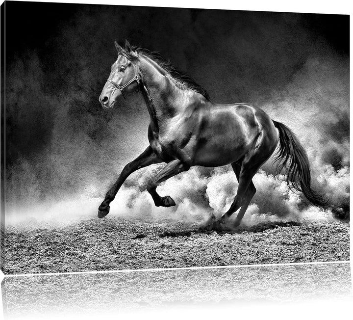 Pixxprint Pferd, Sonnenuntergang, 100x70cm Leinwandbild bespannt auf Holzrahmen/Wandbild Kunstdruck