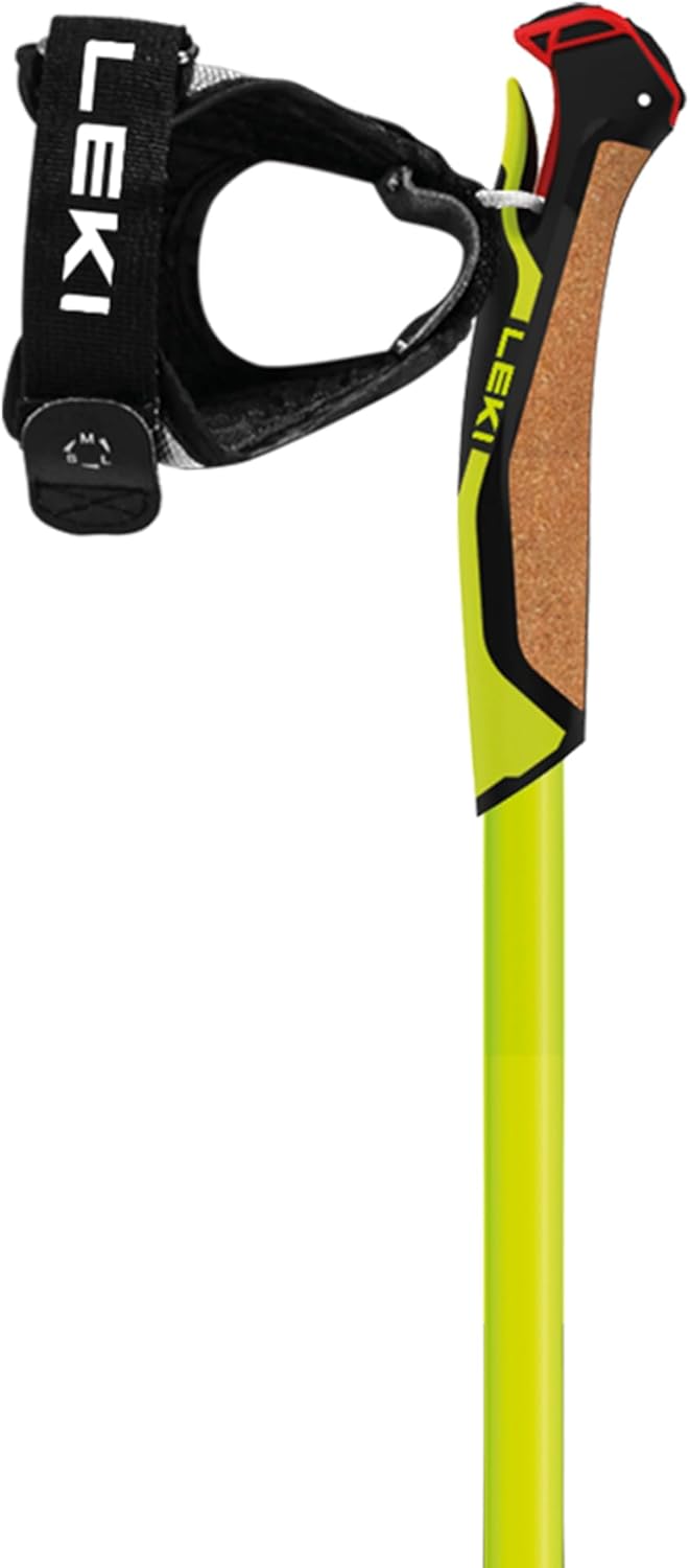 LEKI Unisex-Adult Skistock 160 mehrfarbig, 160 mehrfarbig