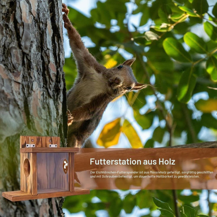Eichhörnchen Futterhaus, Eichhörnchenfutterstation, Eichhörnchenhaus, Futterstation Zum Aufhängen, E