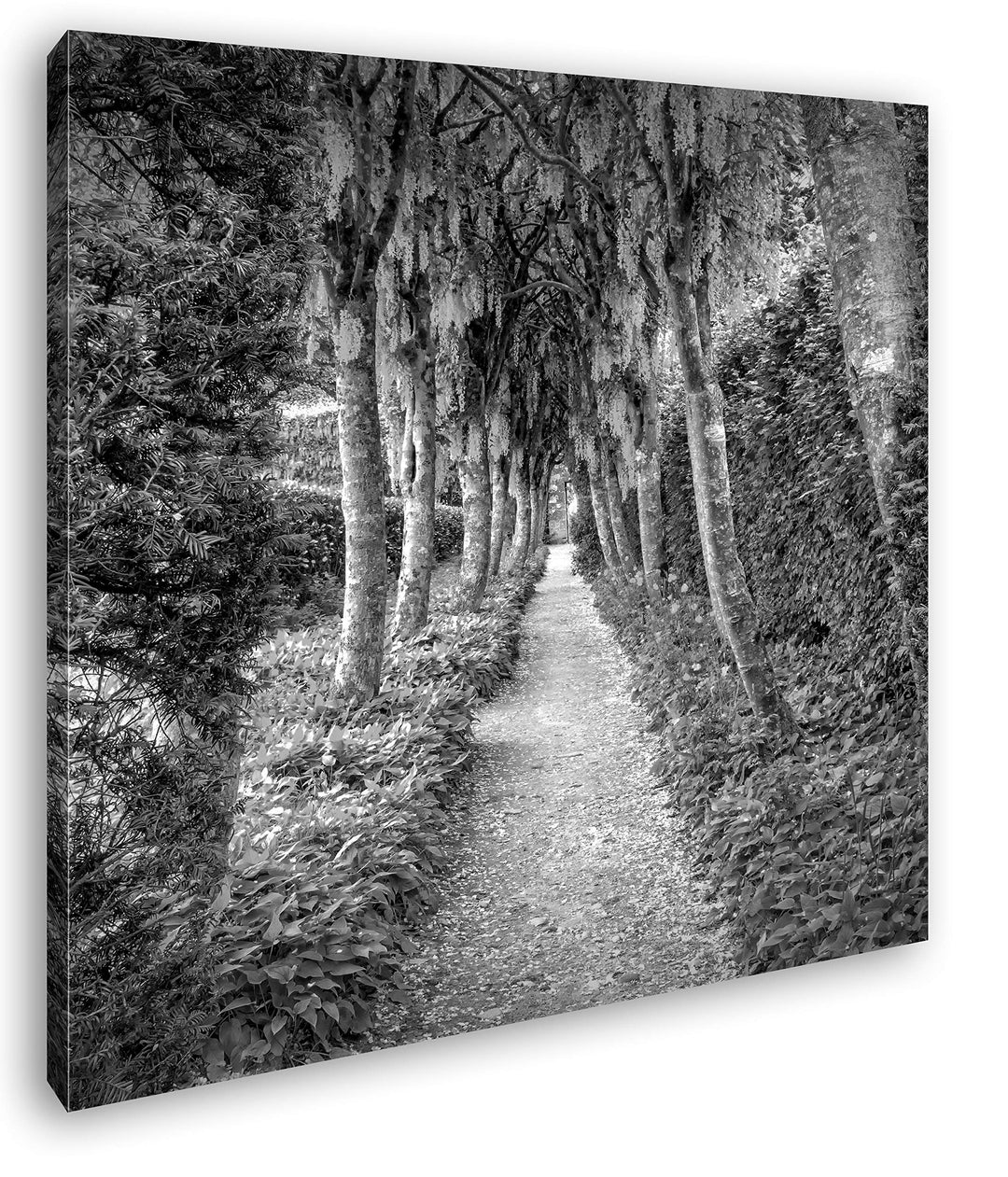 deyoli Schlossgarten Format: 60x60 Effekt: Schwarz&Weiss als Leinwandbild, Motiv fertig gerahmt auf