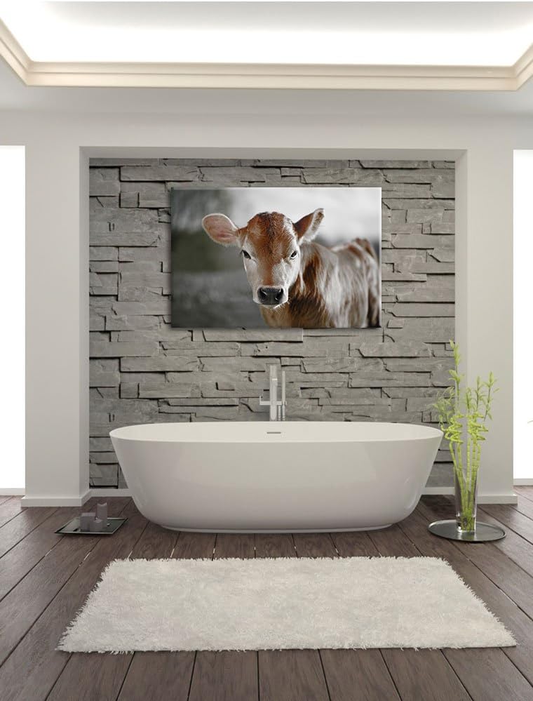 Pixxprint Junge Kuh Kälbchen als Leinwandbild/Grösse: 100x70 cm/Wandbild/Kunstdruck/fertig bespannt,