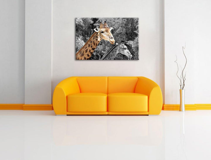 zwei schöne Giraffen schwarz/weiss Format: 100x70 auf Leinwand, XXL riesige Bilder fertig gerahmt mi
