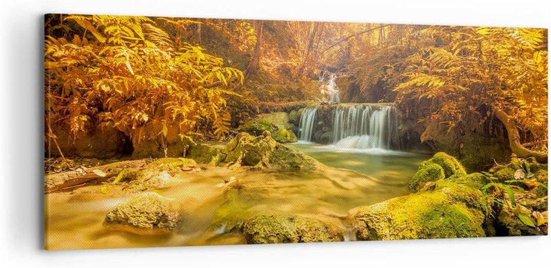 Wandbilder Dekoration Wohnzimmer Wald Bach Tropen Natur Panorama Bilder auf Leinwand 120x50cm Leinwa