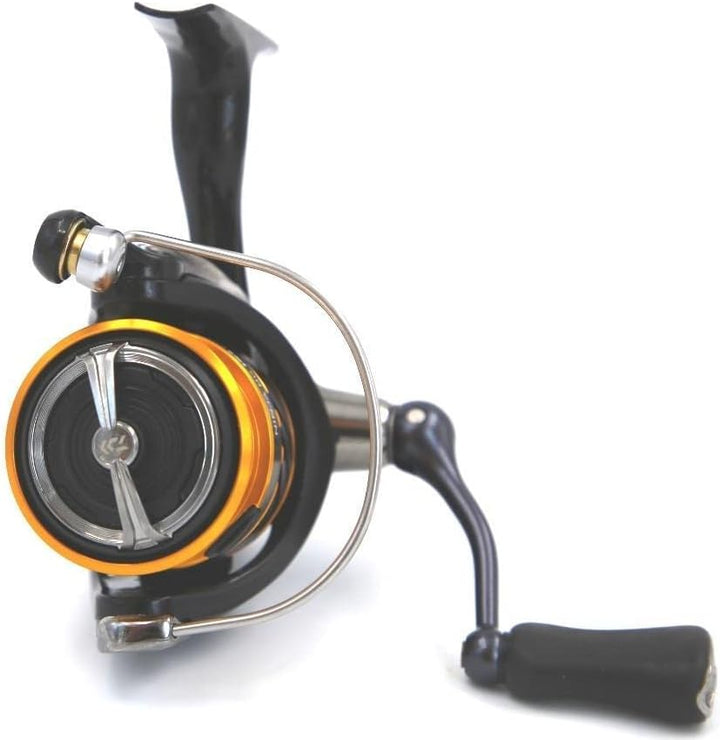 Daiwa 19 Ninja BG LT 2000 Rolle