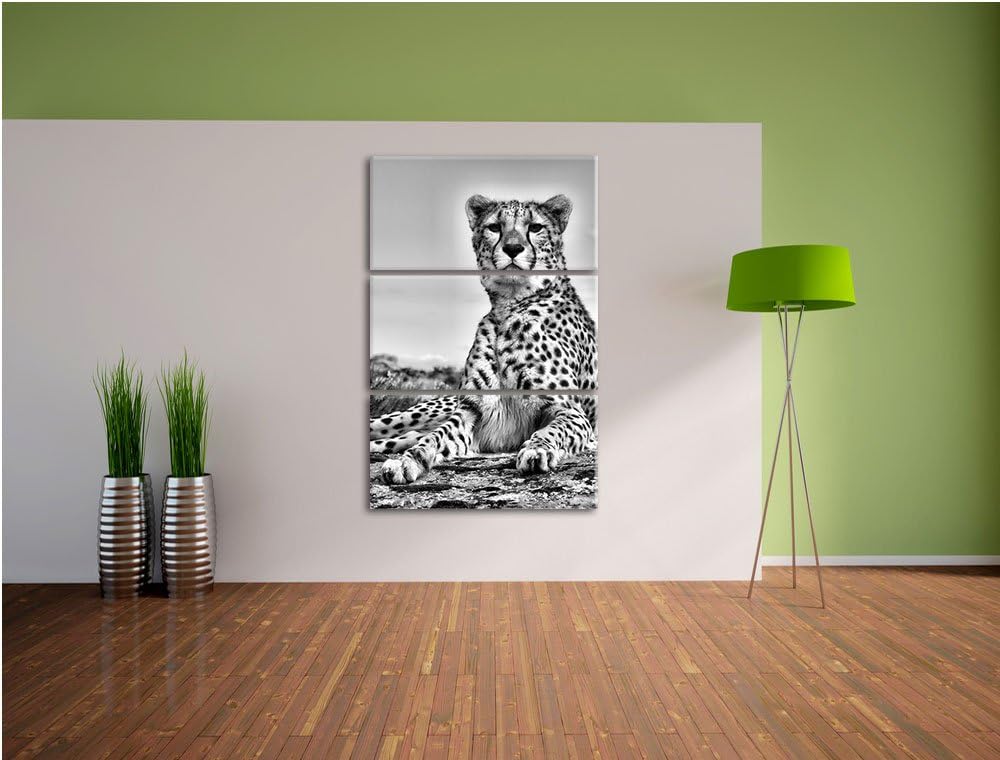 Pixxprint Monocrome, Gepard in Savanne 3-Teiler Leinwandbild 120x80 Bild auf Leinwand