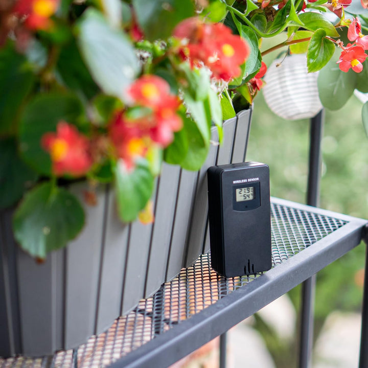 BROWIN® Funk-Wetterstation mit Aussensensor 260908 | Wettervorhersage, 90 m Reichweite, Schwarz