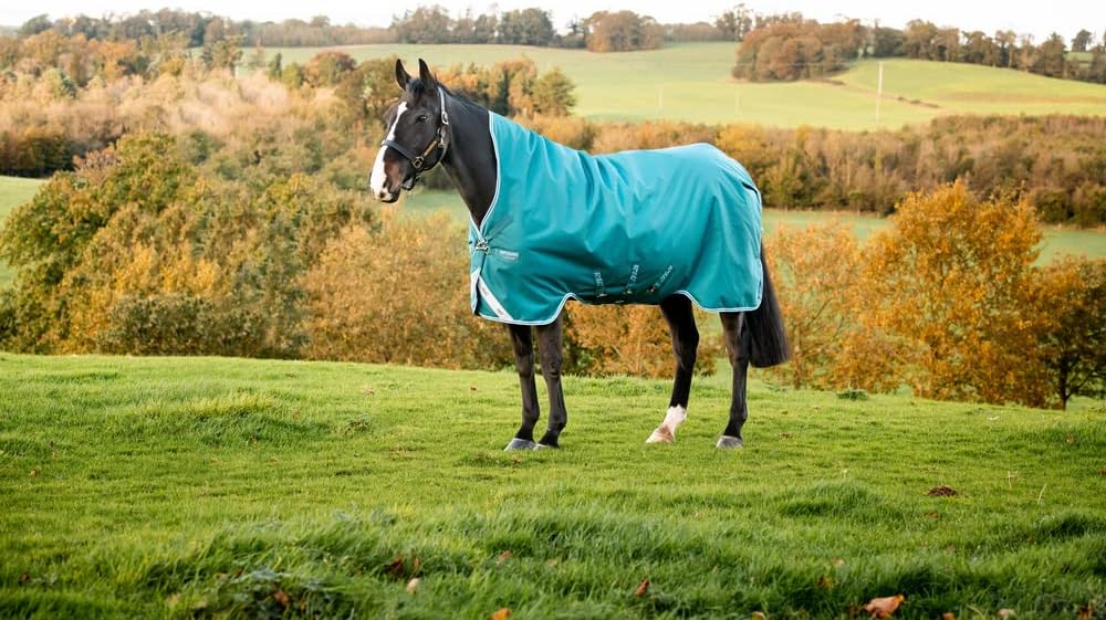 Horseware Amigo Bravo 12 Wug medium Storm Green Grösse wählbar 145 cm / 6´6, 145 cm / 6´6