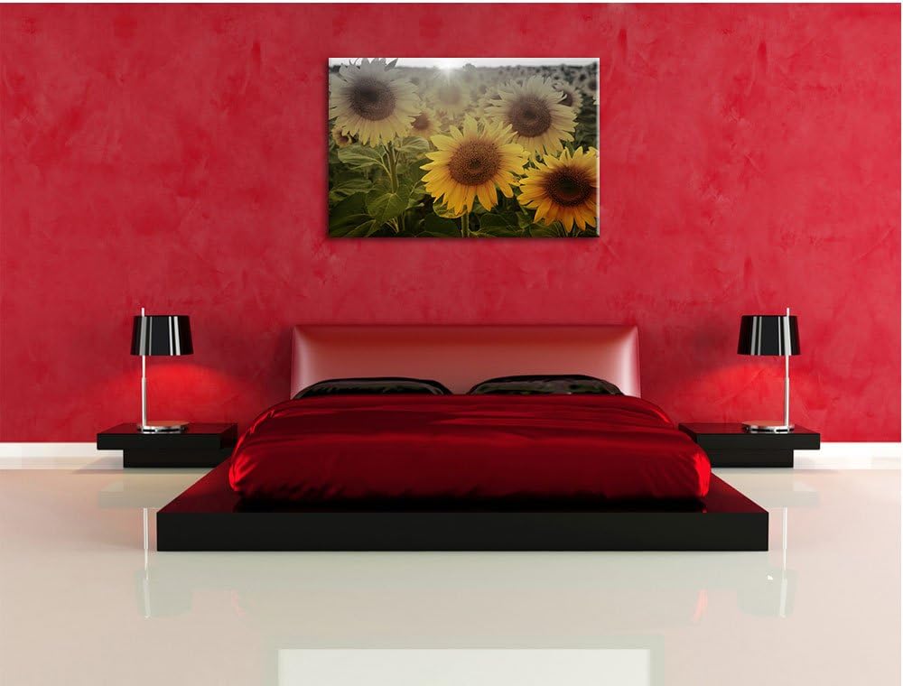 Pixxprint Sonnenblumen auf dem Feld als Leinwandbild | Grösse: 100x70 | Wandbild| Kunstdruck | ferti