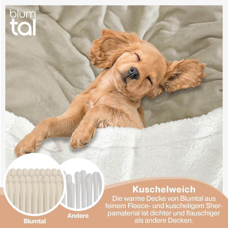 Blumtal Premium Sherpa Kuscheldecke flauschig - Wohndecke Kuscheldecke 130x150 cm - OEKO-TEX zertifi