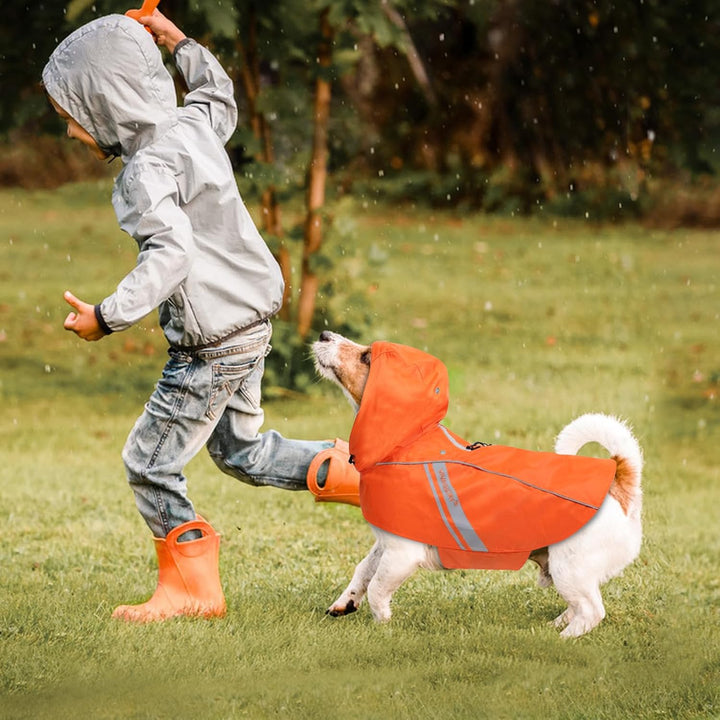 VIVAGLORY Hunderegenmantel für kleine Hunde, einfach an- und ausziehbare Regenbekleidung, reflektier
