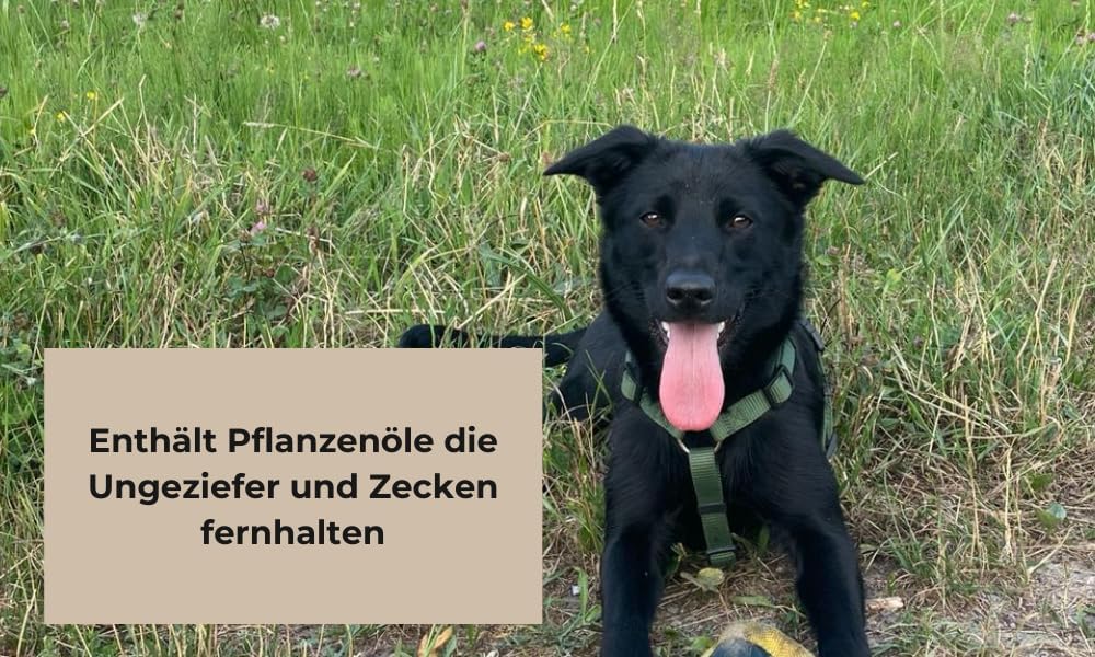 Fellwohl Premium Hundeshampoo für gesunde Hundehaut und glänzendes Fell. Naturreine Inhaltsstoffe in