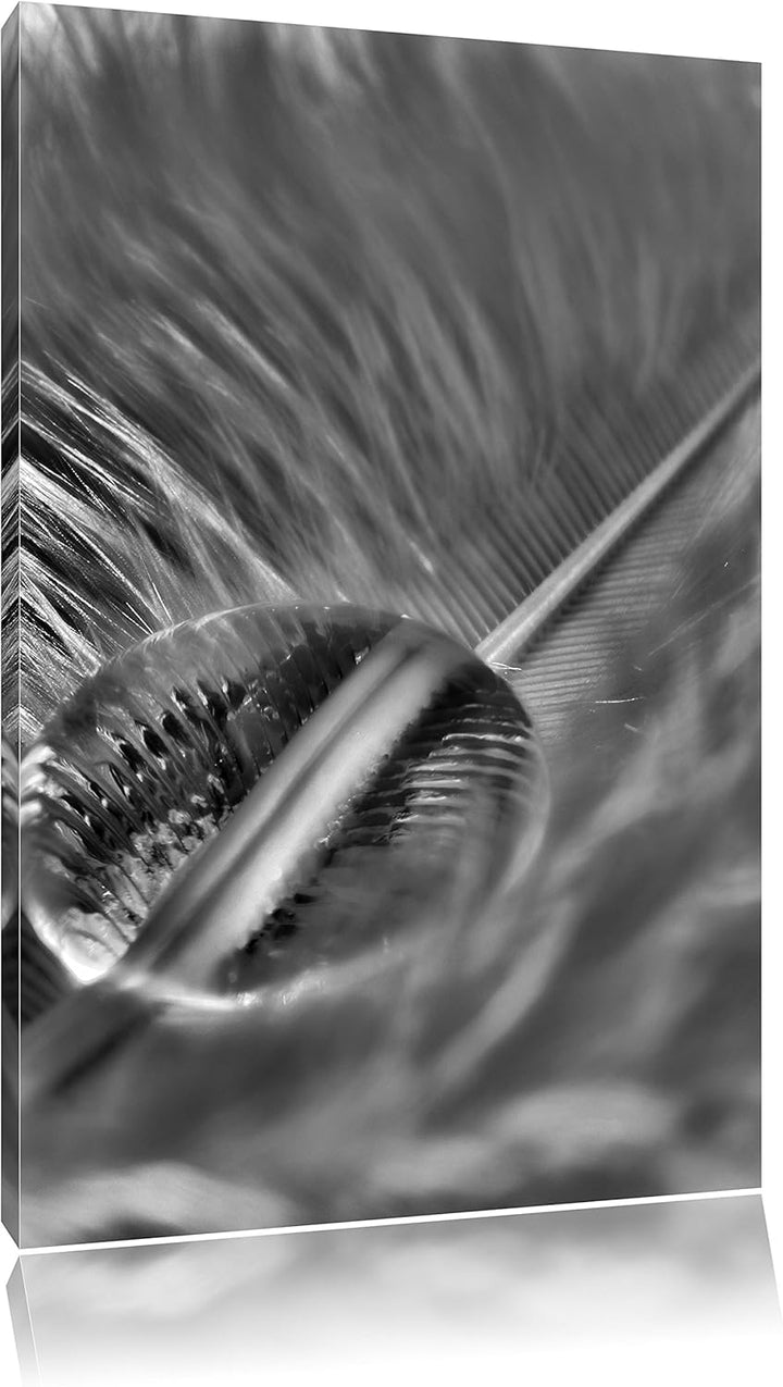 Pixxprint Wassertropfen auf Feder als Leinwandbild/Grösse: 100x70 / Wandbild/Kunstdruck/fertig bespa