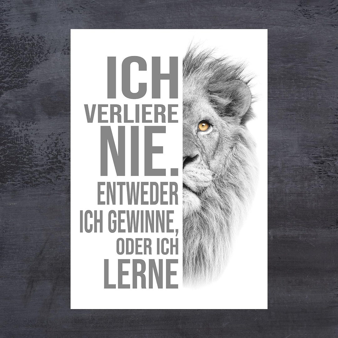 wandmotiv24 Poster als Wanddeko, Grösse Din A1, ich verliere nie, Weiss, Löwe, Moderne Wanddeko, Wan