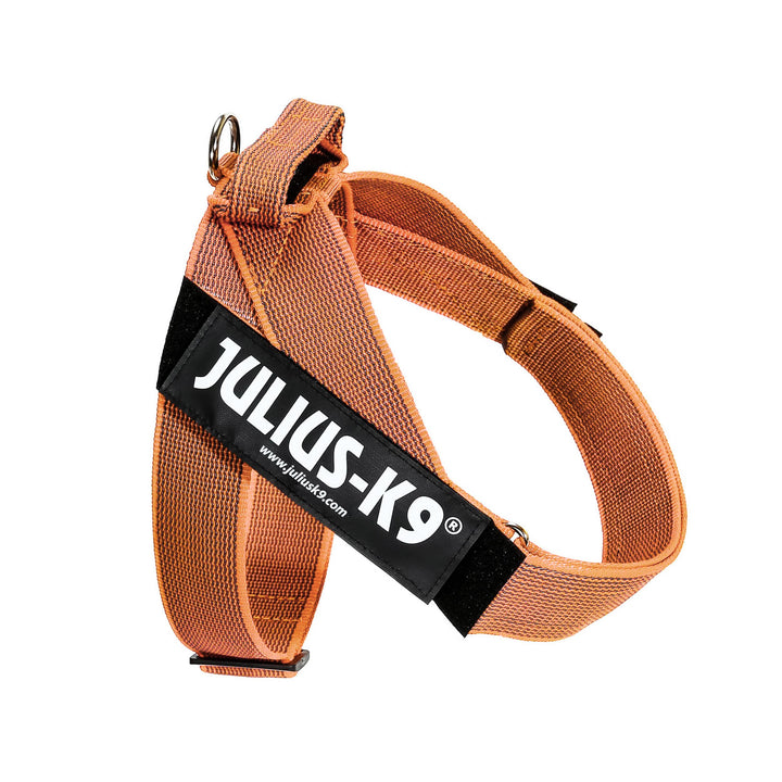 Julius-K9, Color & Gray, Beltgeschirr L / 1 orange-grau, L / 1 orange-grau