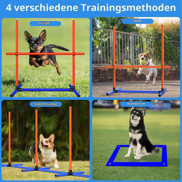 Agility-Trainingsset für Hunde, Hindernisset mit Slalomstangen, Hundesport-Ausrüstung, für Grosse un