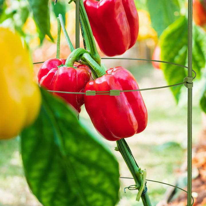 Relaxdays Rankhilfe, 5er Set, 4 Ringe, HxD: 90 x 28 cm, Blumen & Nutzpflanzen, Metall & Kunststoff,