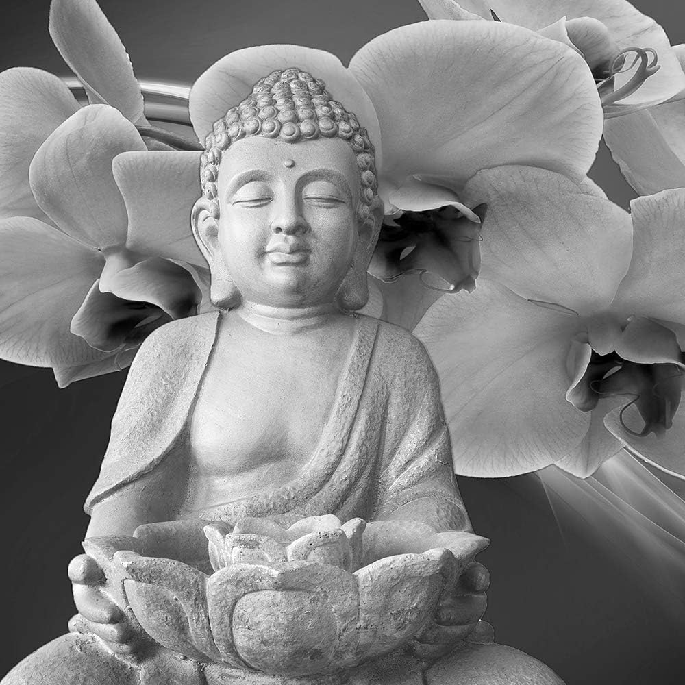Feeby Wandbild XXL 5 Teilig Abstrakt Leinwandbild Buddha Blumen Schwarzweiss 300x140 cm Leinwandbild