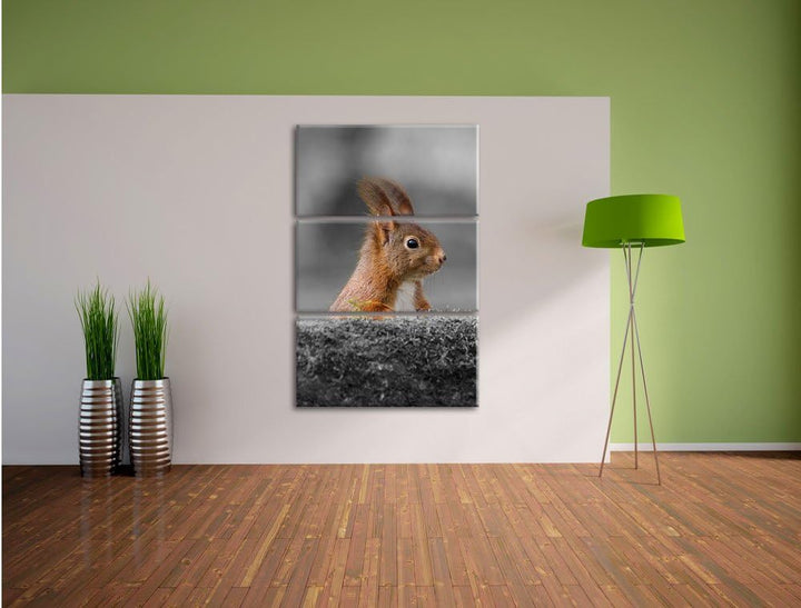Pixxprint lustiges Eichhörchen hinter Baumstamm schwarz/weiss 3-Teiler Leinwandbild 120x80 Bild auf