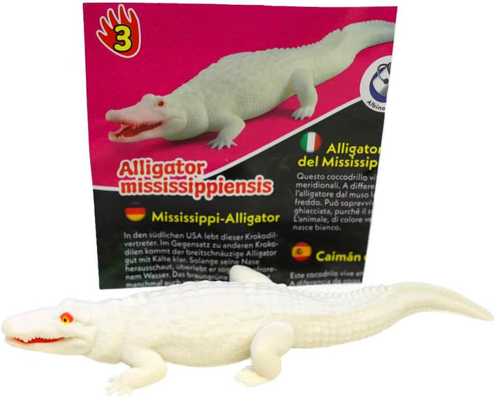 Bundle mit Blue Ocean Crocodiles Sammelfiguren 2025 - Planet Wow Krokodil- Figur 3. Mississippi-Alli