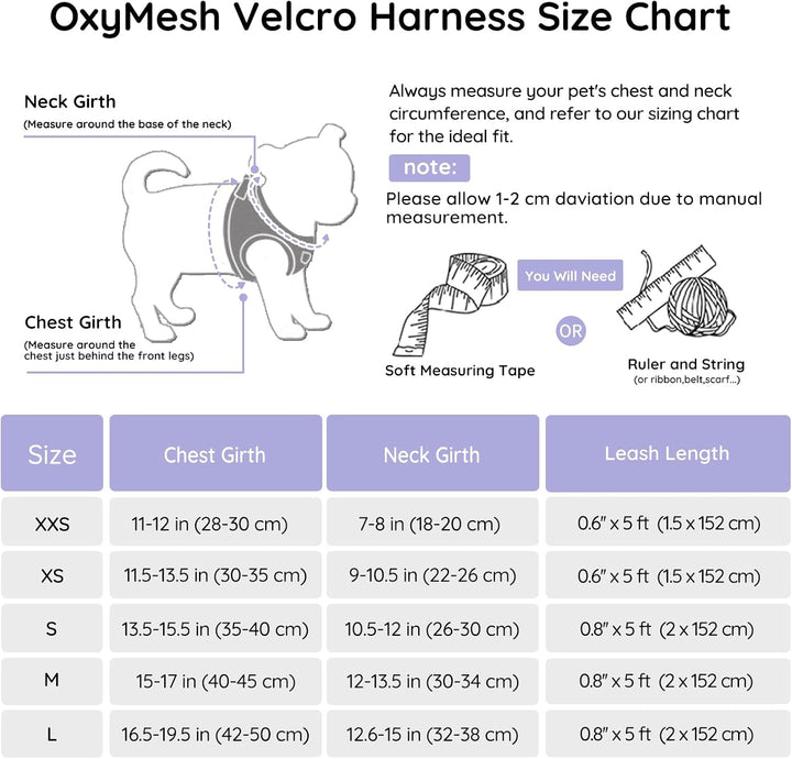 BELLA & PAL Hundegeschirr Kleine Hunde mit Leine, Step-in Geschirr aus Air Mesh, Anti Zug Reflektier