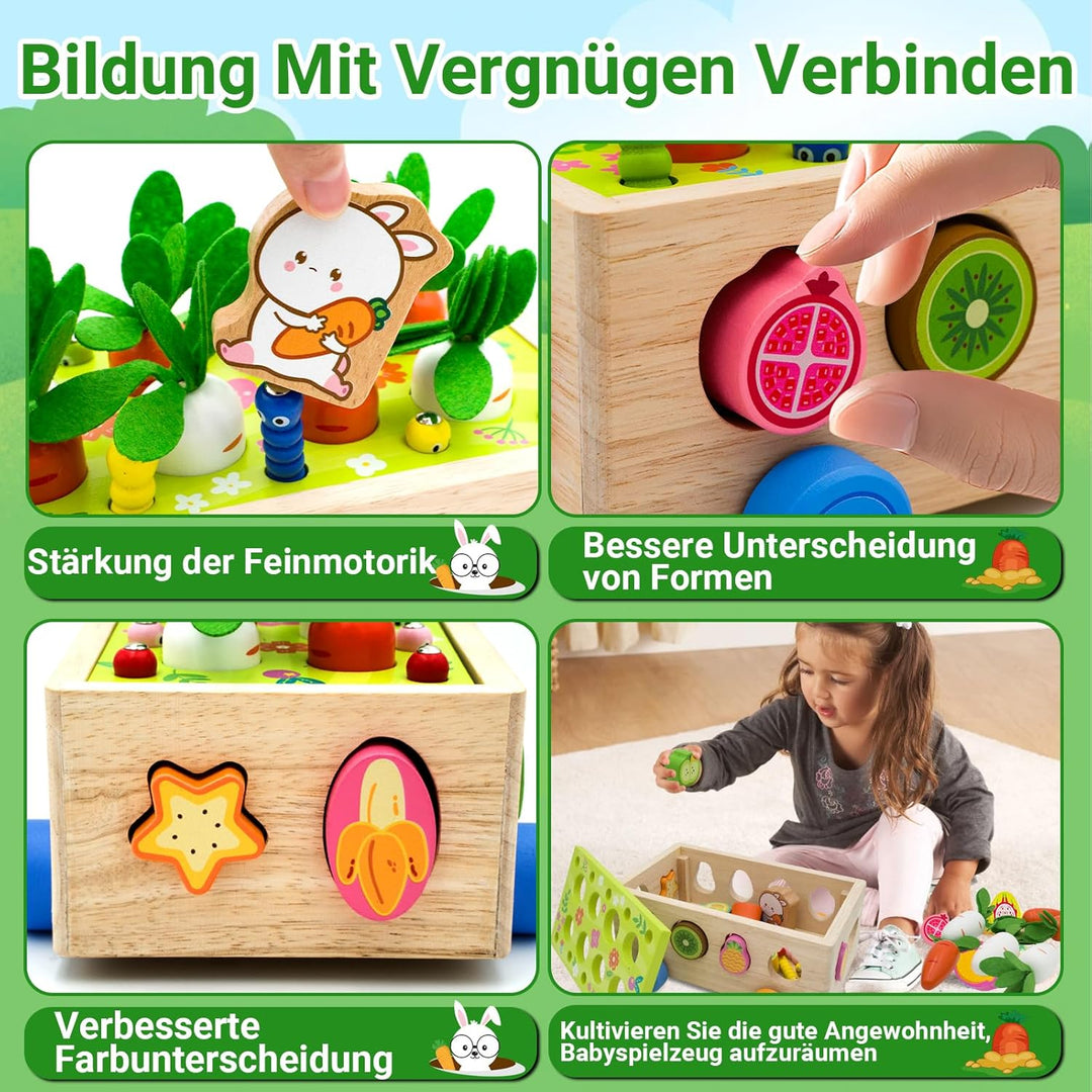 RunHero Montessori Holz Sortierspie Karotten Steckspiel Holzspielzeug ab 1 Jahr Holztiere Motorikspi